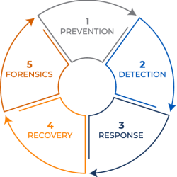 Infographic of the 5 components of data protection.